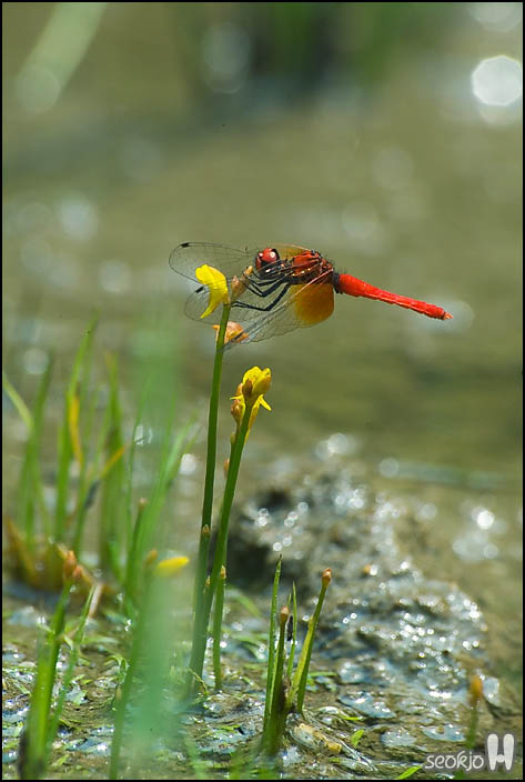 DSCF7490.jpg
