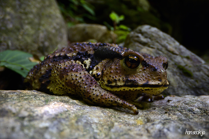 DSC_2910.jpg