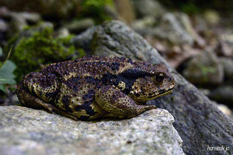 DSC_2909.jpg