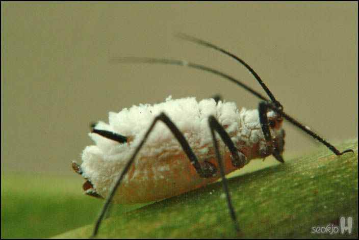 DSCF9420.jpg