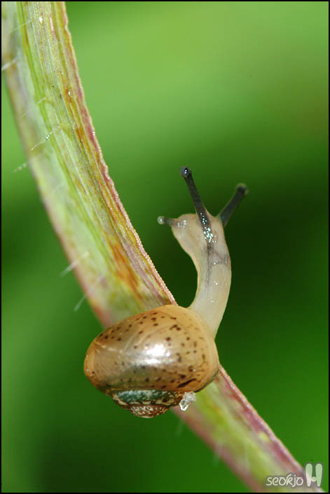 DSCF9309.jpg