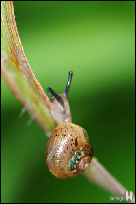DSCF9315.jpg