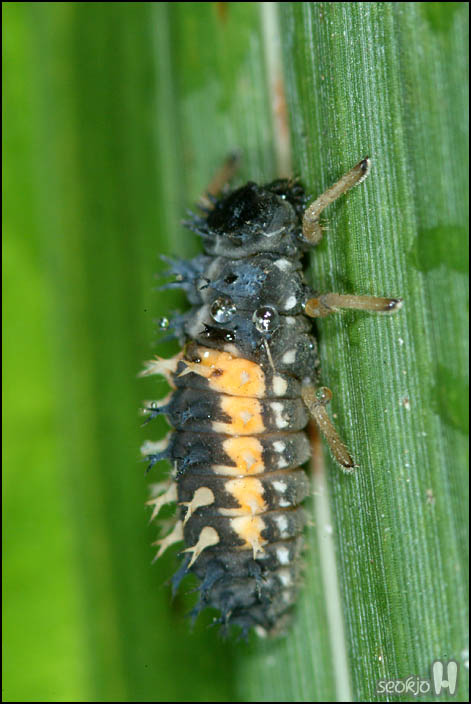DSCF9301.jpg