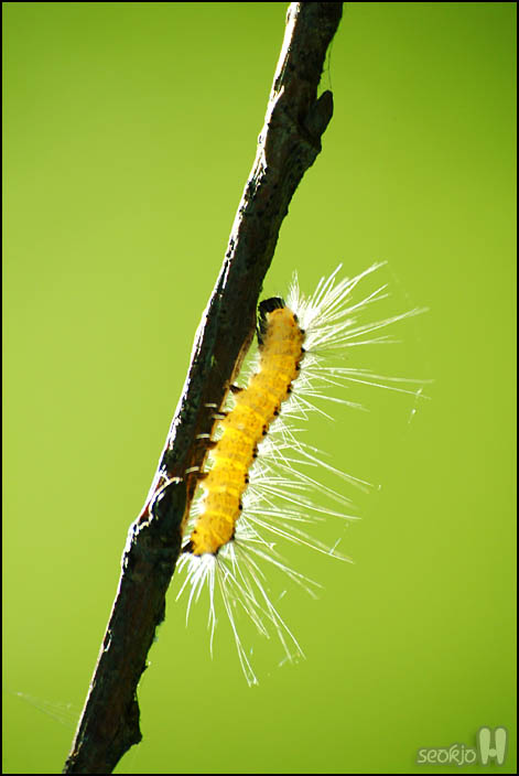 DSCF8938.jpg