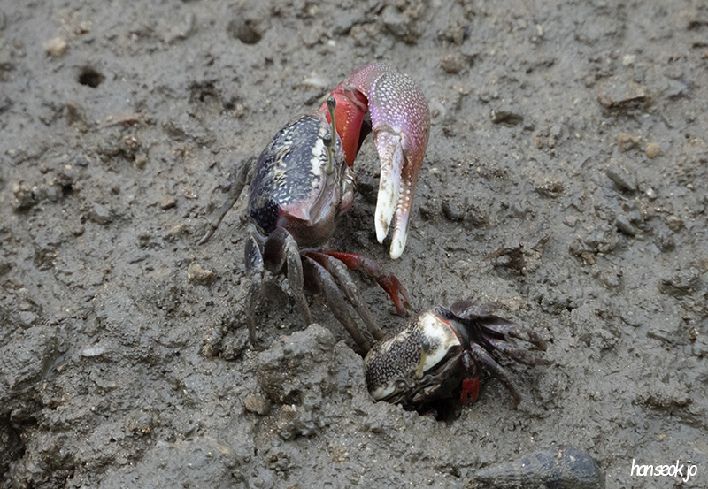 DSCN0140.jpg