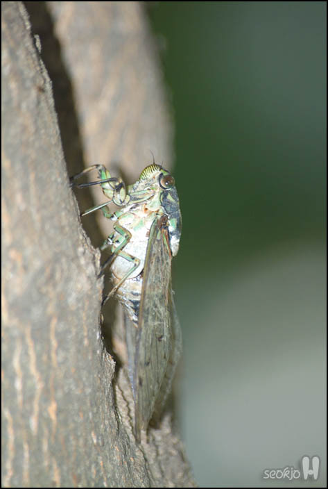 DSCF1567.jpg