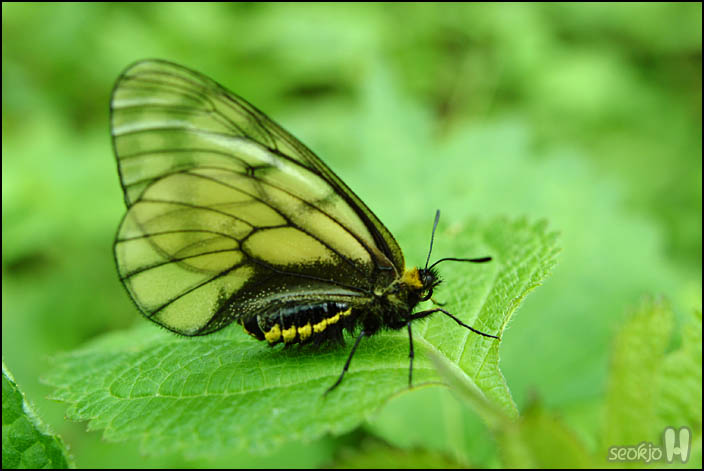 DSCF6885.jpg