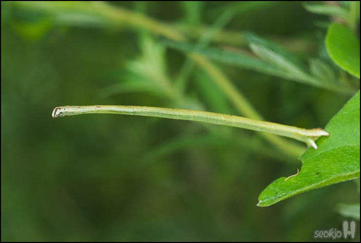 DSCF8806.jpg