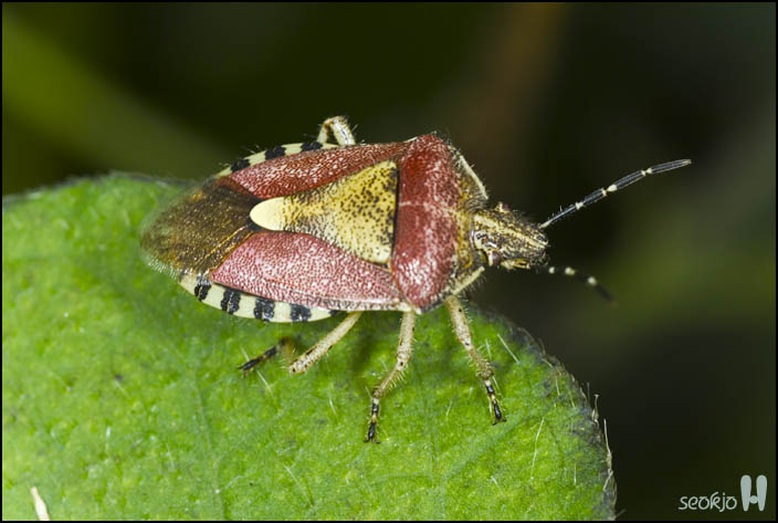 DSCF8795.jpg