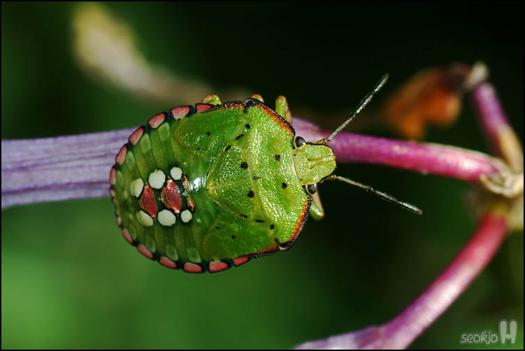 DSCF9114.jpg