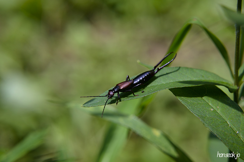 DSC_2951.jpg