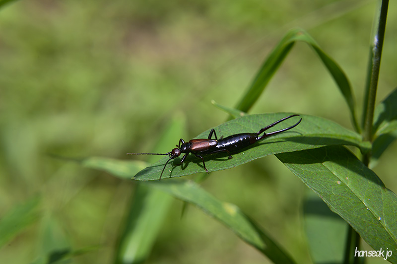 DSC_2953.jpg
