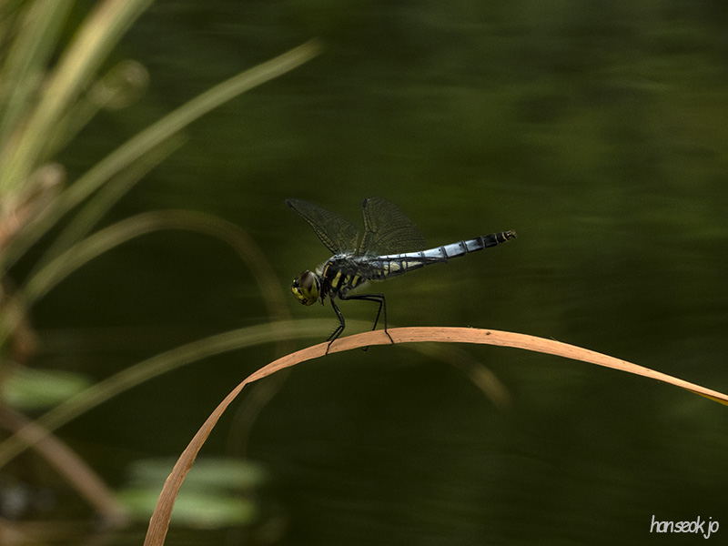 DSCN0155.jpg