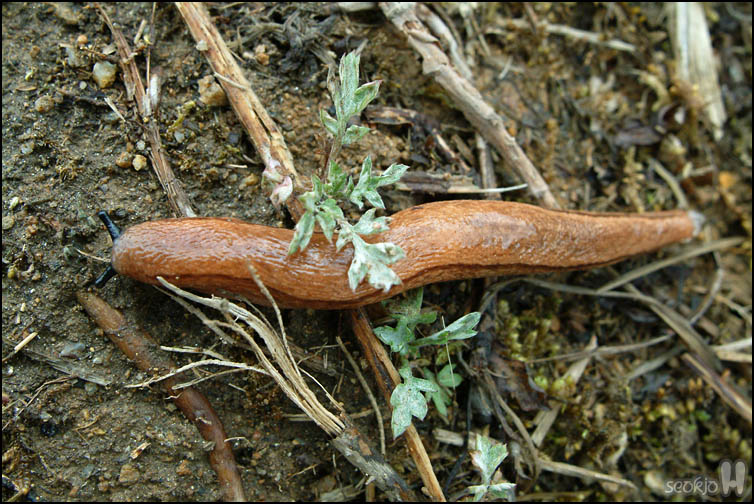 DSCF5935.jpg