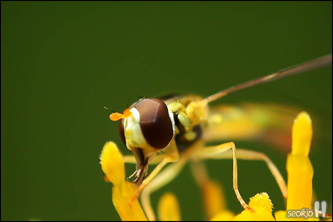 DSCN9399.jpg