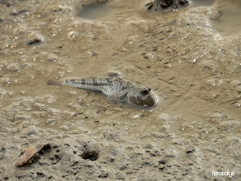 DSCN1318.jpg