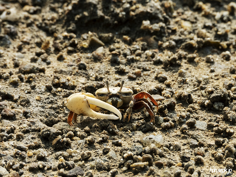 DSCN1375.jpg