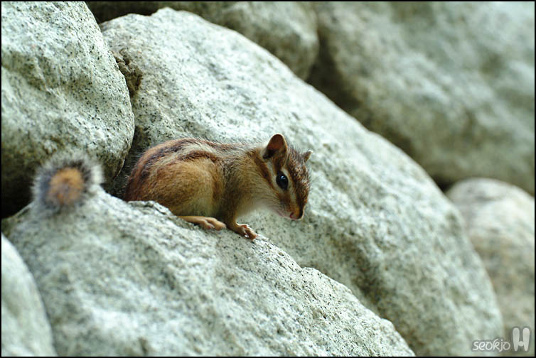 DSCF1257.jpg