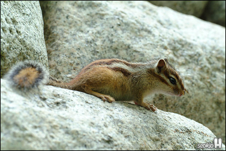 DSCF1258.jpg
