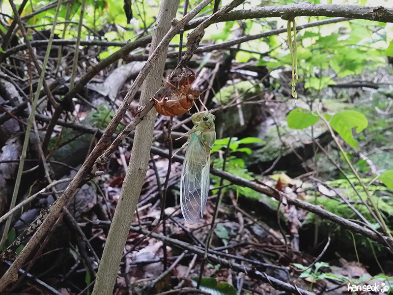 20170818_123913.jpg