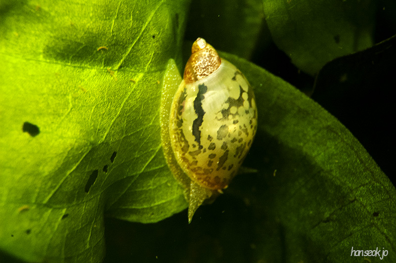 DSC_2714.jpg