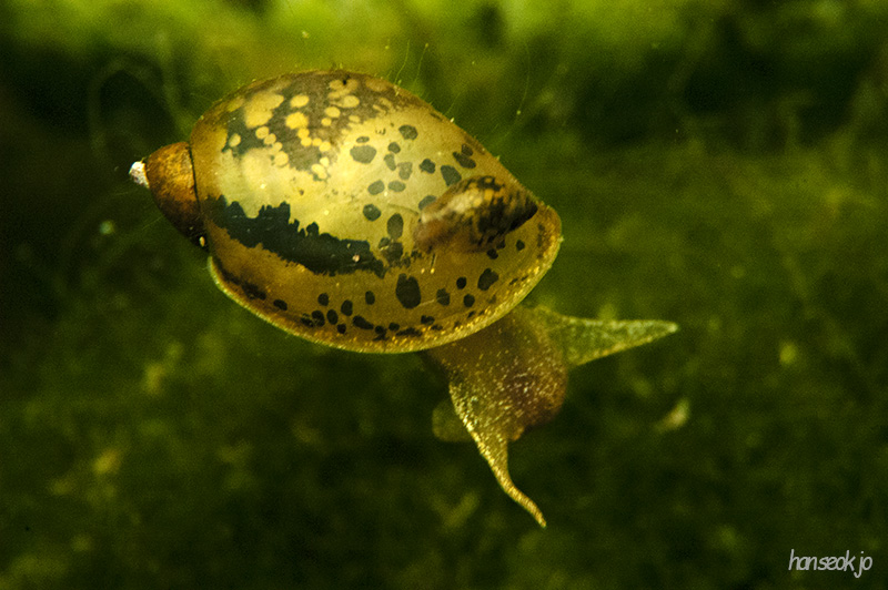 DSC_2720.jpg