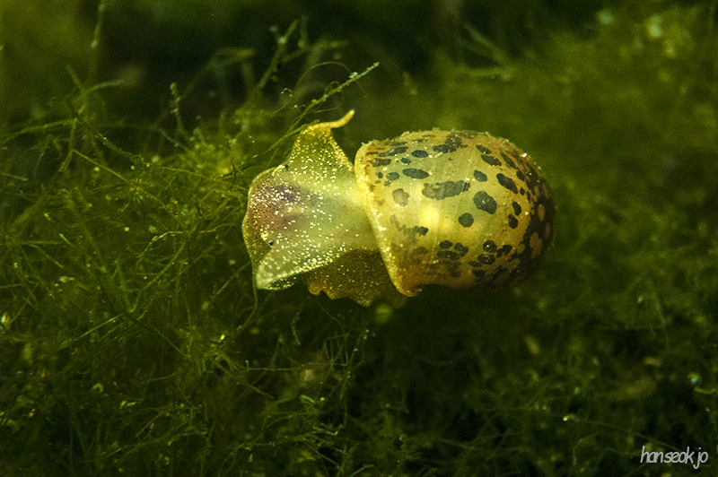 DSC_2722.jpg