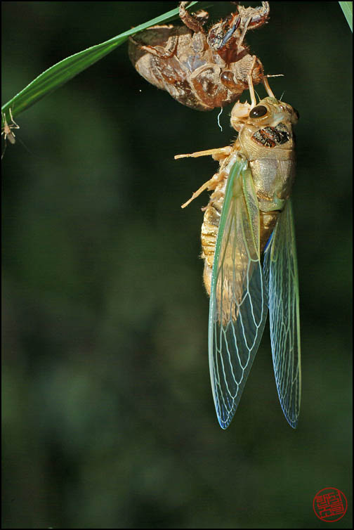 DSCF2692.jpg