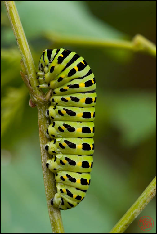 DSCF2844.jpg