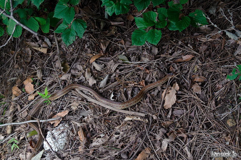 DSC_3021.jpg