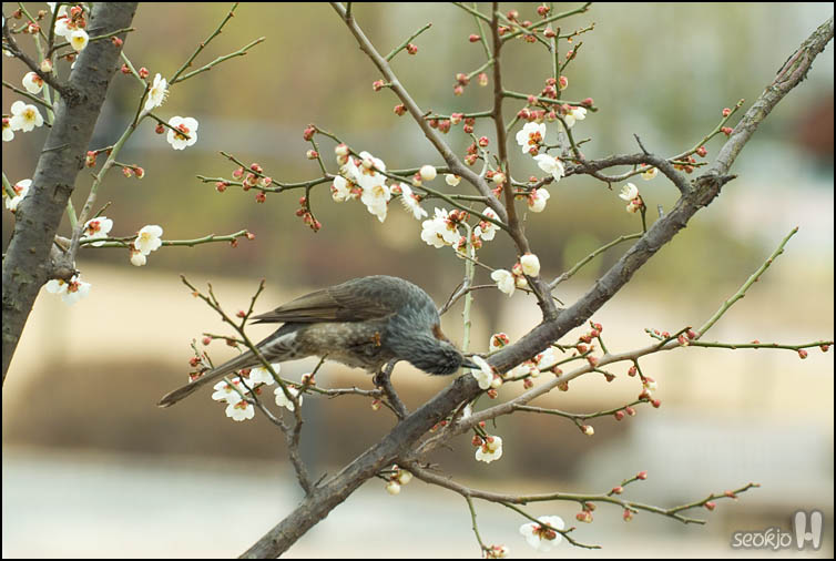 DSCF6850.jpg