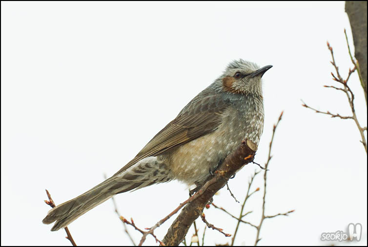 DSCF6852.jpg