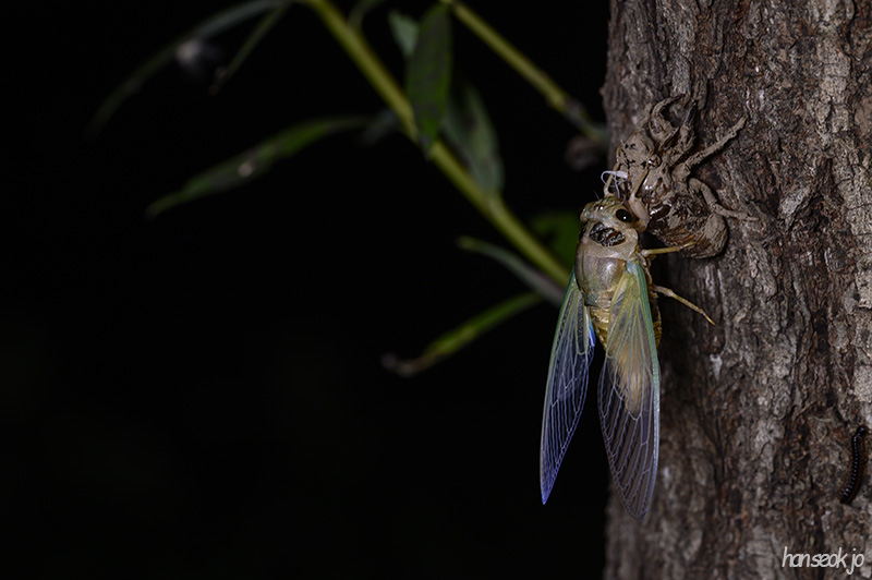DSC_3285.jpg