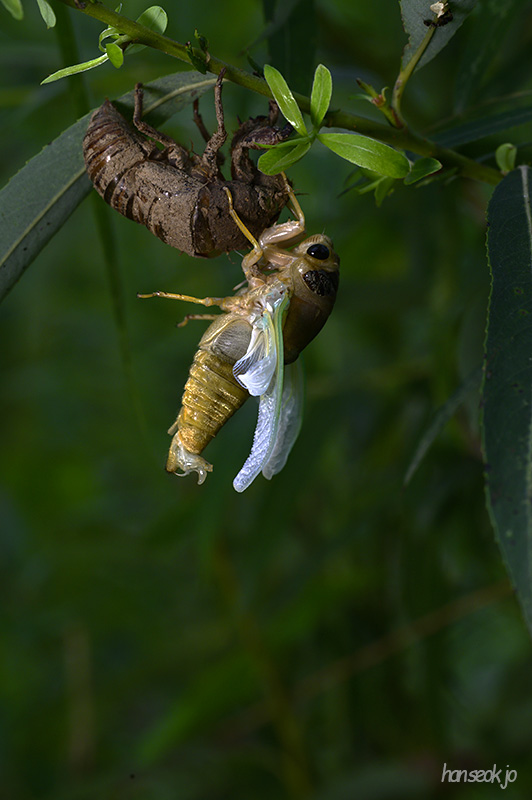 DSC_3102.jpg