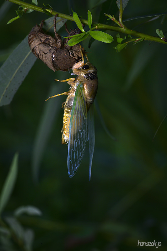 DSC_3117.jpg