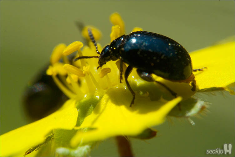 DSCF7516.jpg