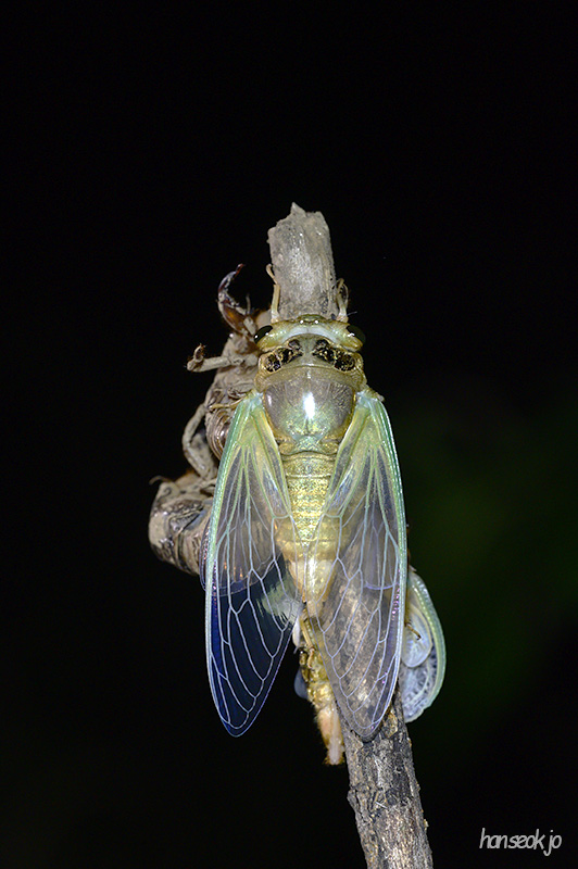 DSC_3563.jpg