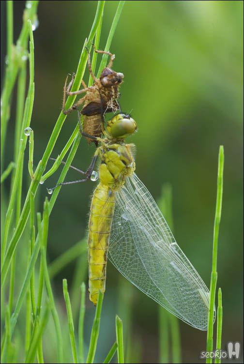 DSCF9044.jpg