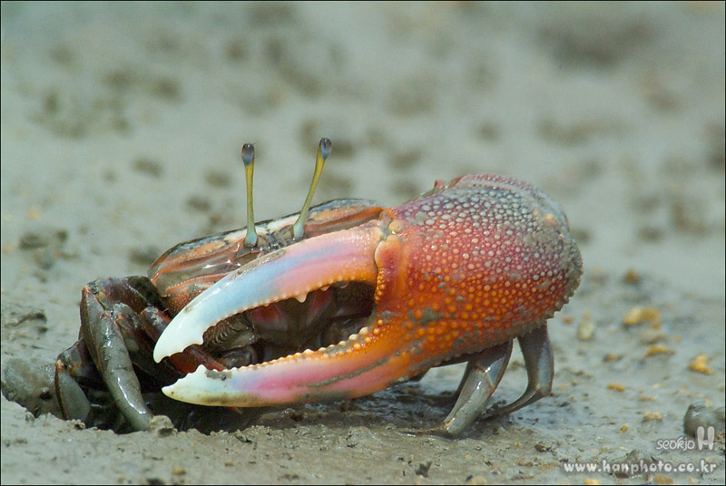 DSCF1881.jpg
