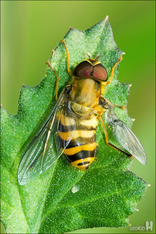 DSCF3135.jpg