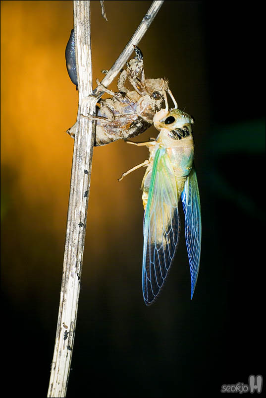 DSCF4630.jpg