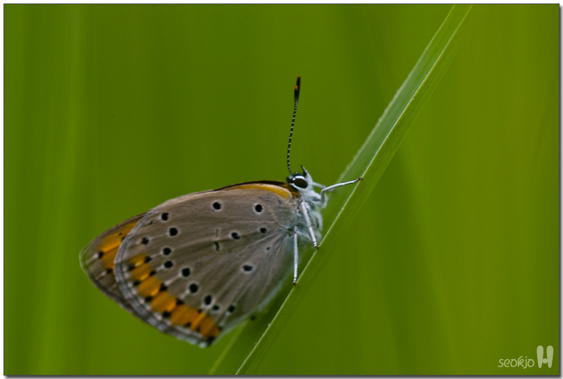 DSCF8439.jpg