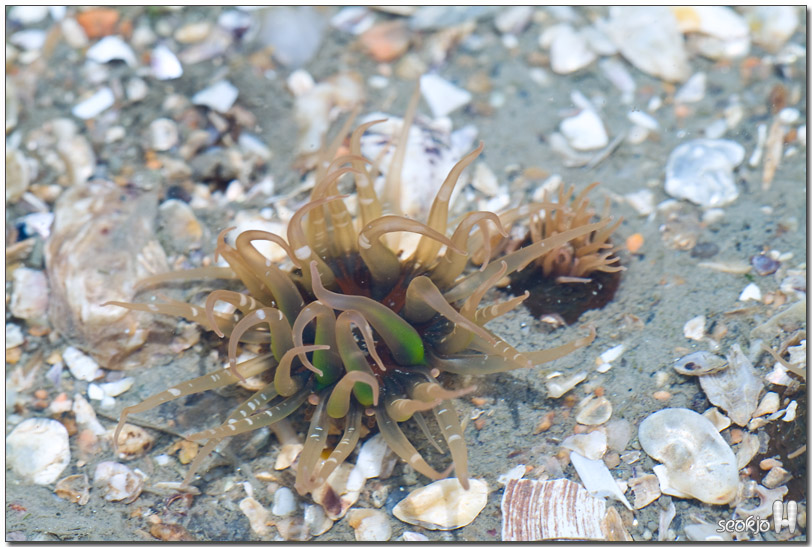 DSCF8543.jpg