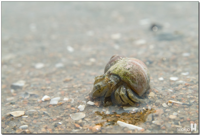 DSCF8916.jpg