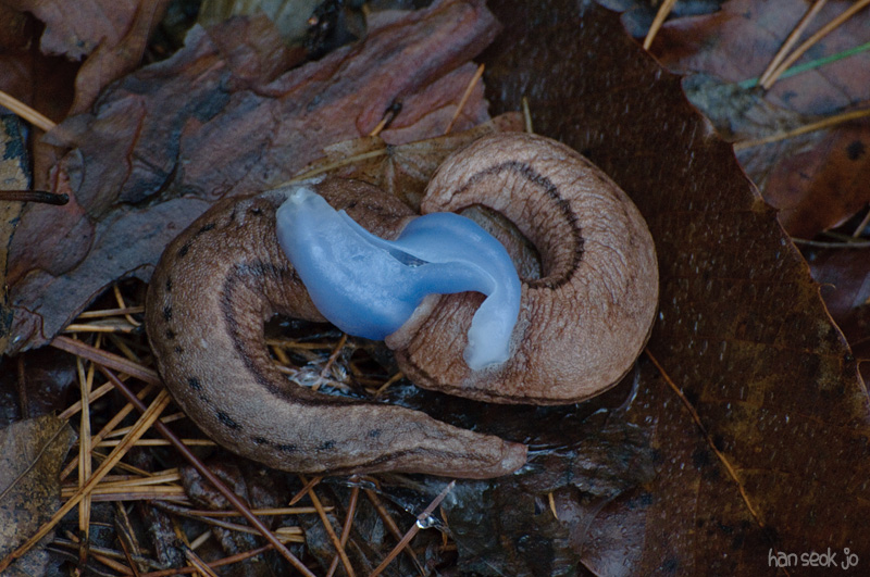 DSC_4978.jpg
