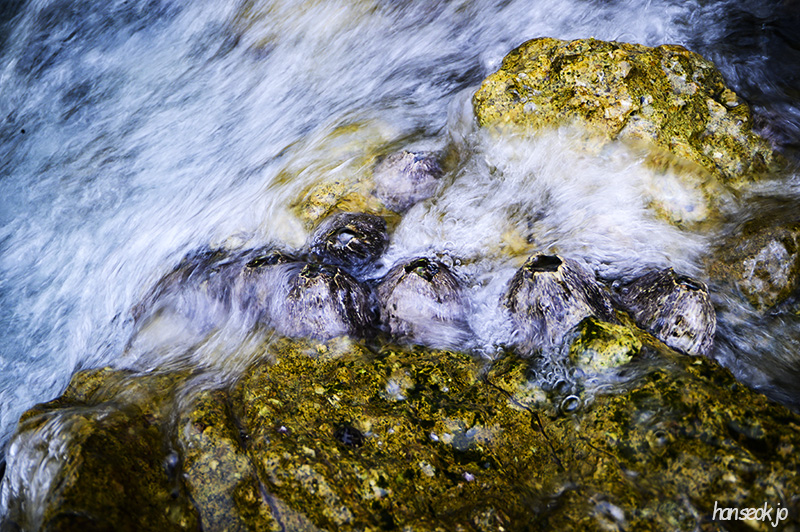 DSC_4227.jpg