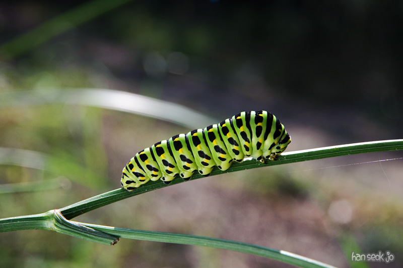 DSC_4014.jpg