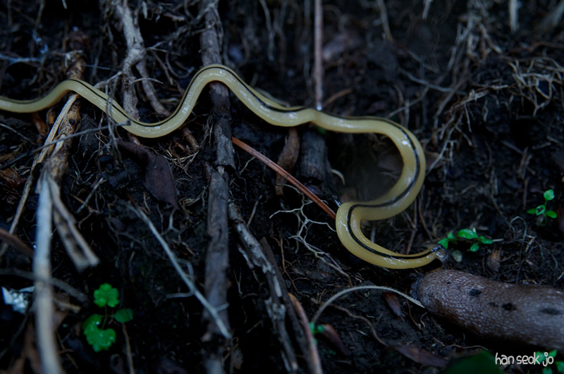 DSC_3416.jpg
