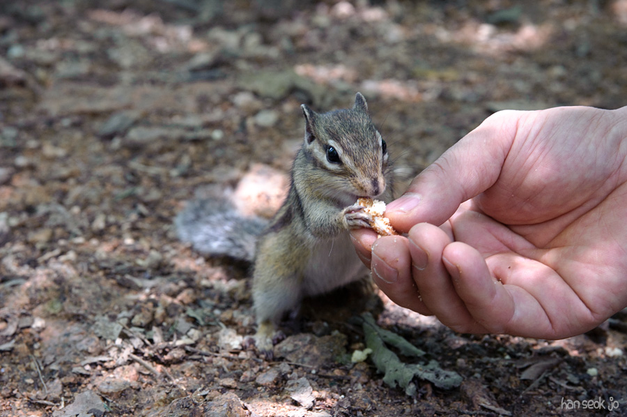 DSC_2460.jpg