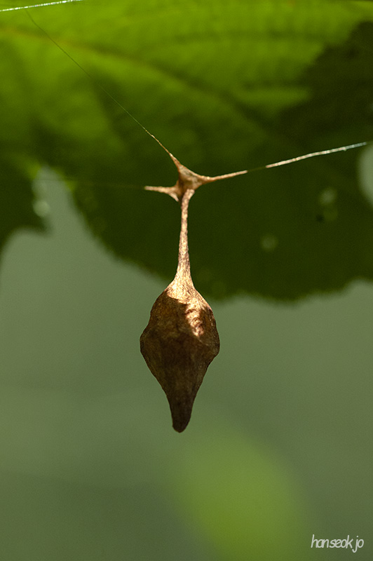 DSC_2676.jpg